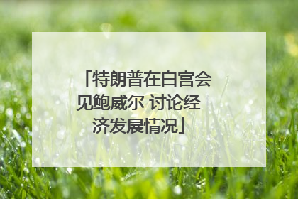 特朗普在白宫会见鲍威尔 讨论经济发展情况